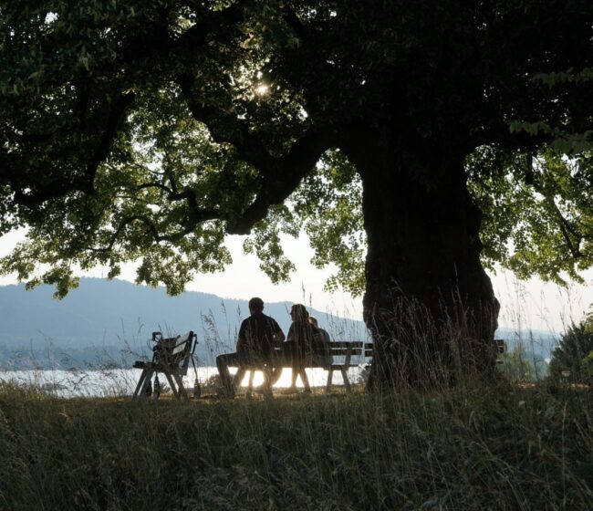 Nalaten nalatenschap goed doel